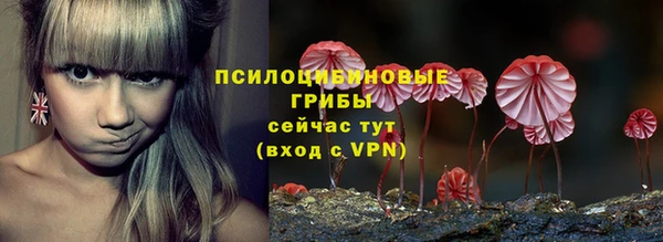 прущие крисы Алексеевка