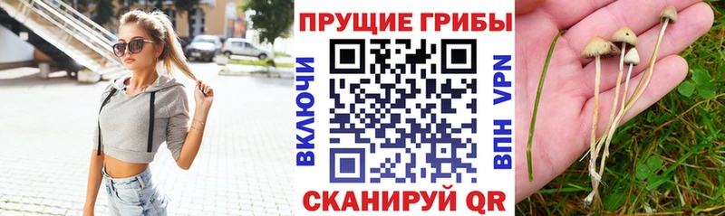 Галлюциногенные грибы мухоморы MEGA зеркало Богучар наркотики